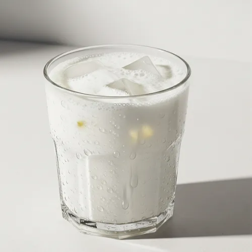 Ayran Yoghurt Drink 